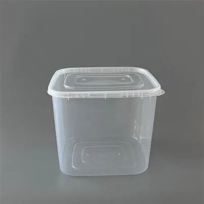 Storage Container Mold